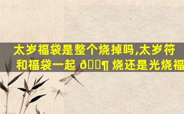 太岁福袋是整个烧掉吗,太岁符和福袋一起 🐶 烧还是光烧福